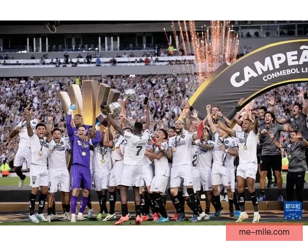 博塔弗戈巴甲联赛领先13分却在最后11轮未尝胜绩痛失冠军的悲剧